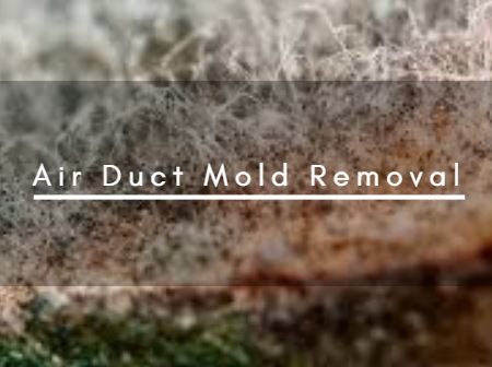 Air Duct Mold