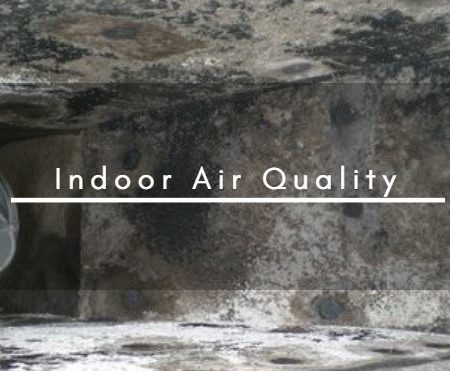 Indoor Air Quality (Mold and Microbials)