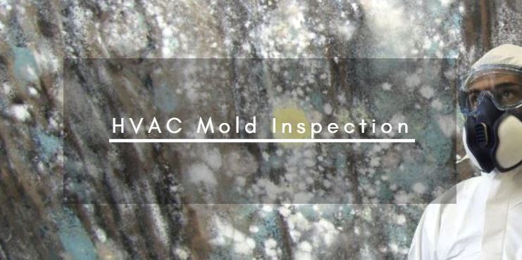 HVAC Mold Inspection