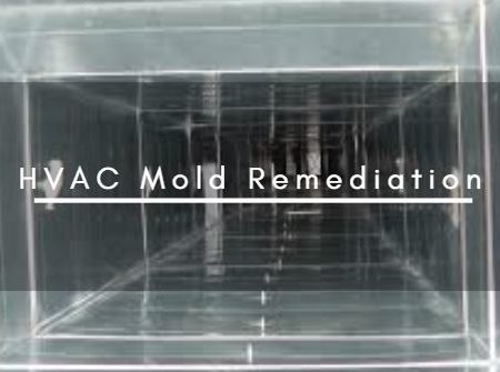 HVAC Mold Remediation