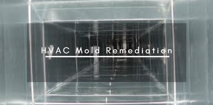 HVAC Mold Remediation