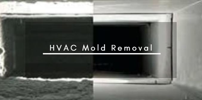 HVAC Mold Removal